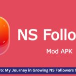 From Zero to Hero: My Journey in Growing NS Followers Through Blogging