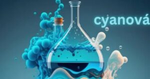 Cyanová: Meaning, Uses, and Modern Relevance