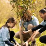 What Is Sodziu Your Complete Guide to Lithuania’s Charming Rural Homesteads